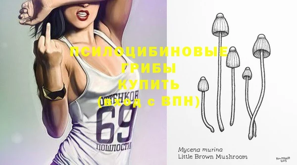 таблы Козловка
