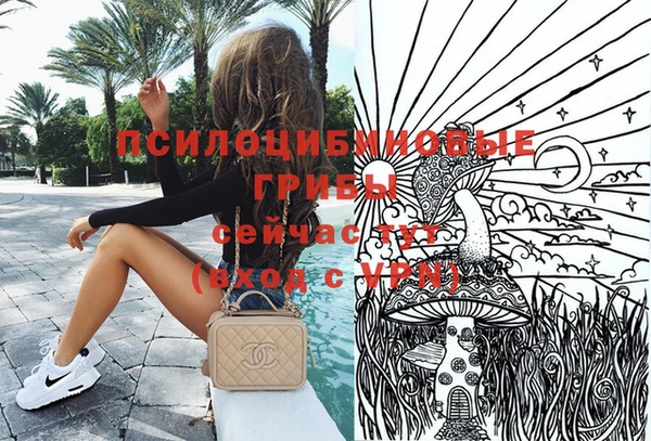 амф Кодинск