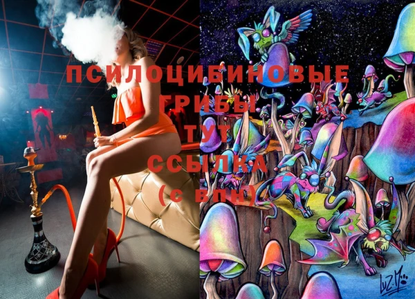 герыч Козельск