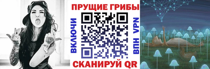 Галлюциногенные грибы Psilocybine cubensis  Купить  Нижняя Тура 